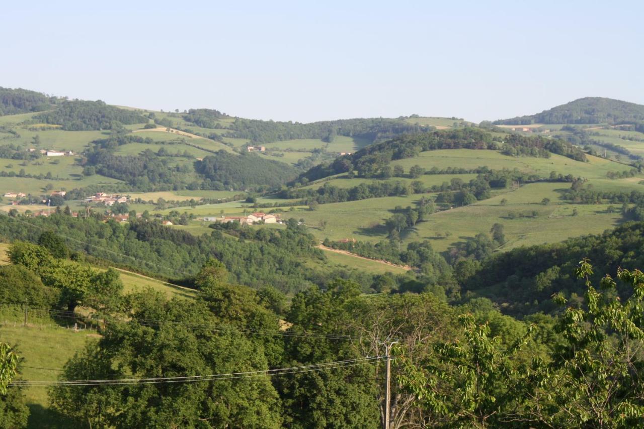 Le Clos Du Jubin Tarare Exterior foto